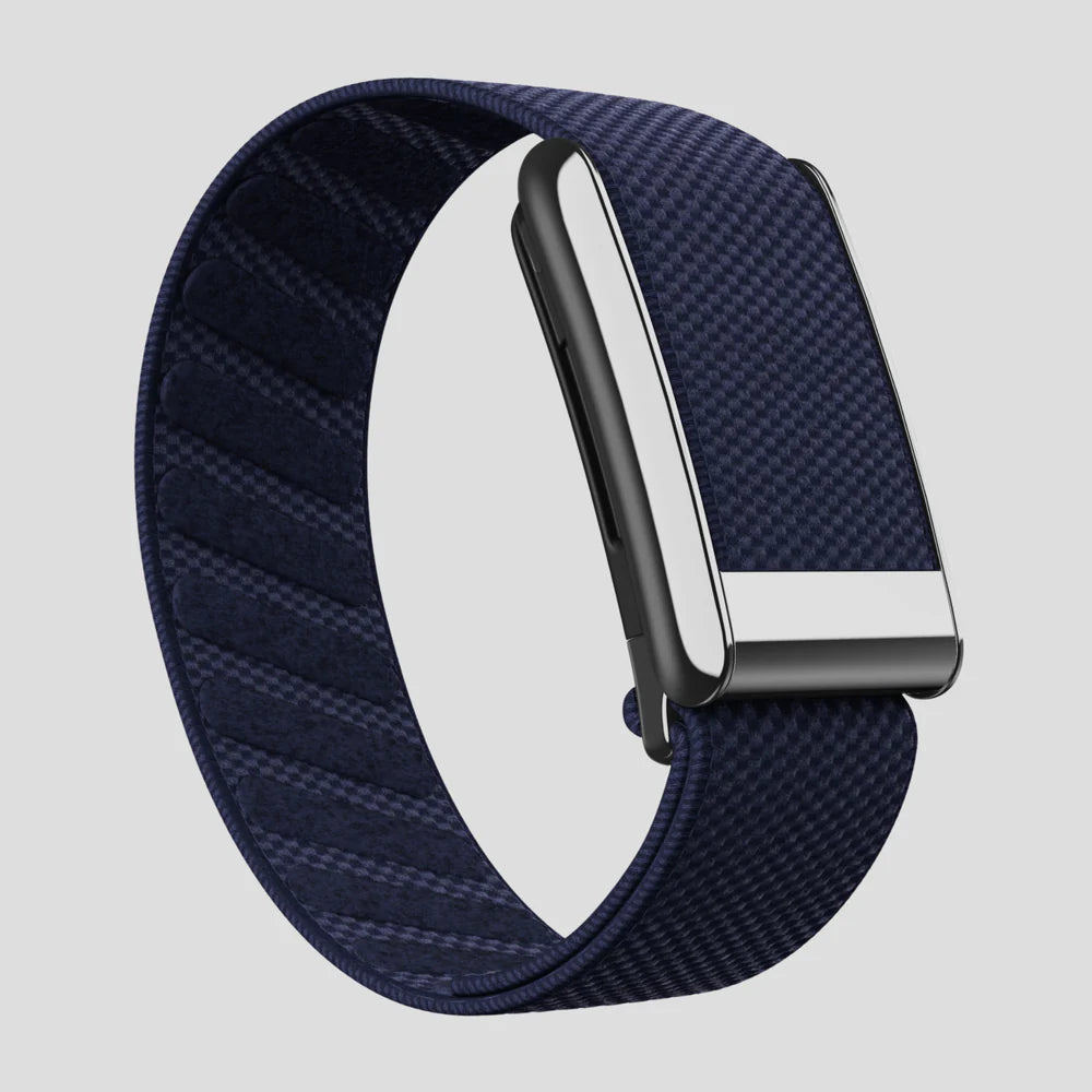 Midnight Navy